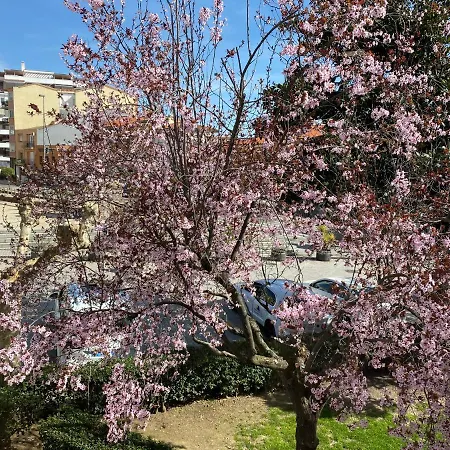 Dacosta Apartmán Plasencia