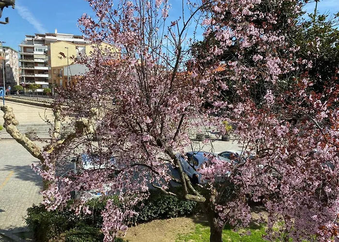 Dacosta Lejlighed Plasencia